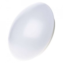 LED Bathroom ceiling light LED/32W/230V IP44